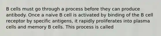 B cells must go through a process before they can produce antibody. Once a naive B cell is activated by binding of the B cell receptor by specific antigens, it rapidly proliferates into plasma cells and memory B cells. This process is called