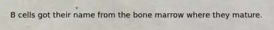 B cells got their name from the bone marrow where they mature.