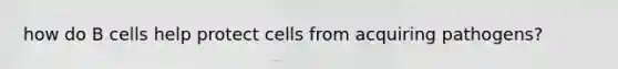 how do B cells help protect cells from acquiring pathogens?