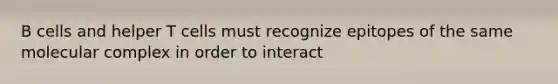 B cells and helper T cells must recognize epitopes of the same molecular complex in order to interact