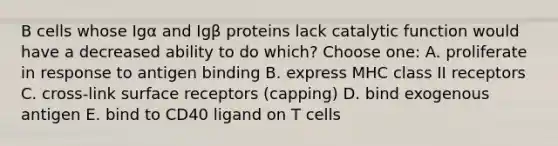 B cells whose Igα and Igβ proteins lack catalytic function would have a decreased ability to do which? Choose one: A. proliferate in response to antigen binding B. express MHC class II receptors C. cross-link surface receptors (capping) D. bind exogenous antigen E. bind to CD40 ligand on T cells