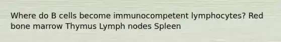 Where do B cells become immunocompetent lymphocytes? Red bone marrow Thymus Lymph nodes Spleen