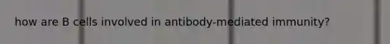 how are B cells involved in antibody-mediated immunity?