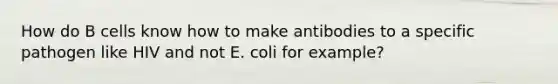 How do B cells know how to make antibodies to a specific pathogen like HIV and not E. coli for example?