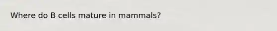 Where do B cells mature in mammals?