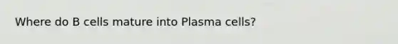 Where do B cells mature into Plasma cells?