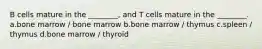 B cells mature in the ________, and T cells mature in the ________. a.bone marrow / bone marrow b.bone marrow / thymus c.spleen / thymus d.bone marrow / thyroid