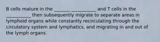 B cells mature in the _______ ___________ and T cells in the ___________ then subsequently migrate to separate areas in lymphoid organs while constantly recirculating through the circulatory system and lymphatics, and migrating in and out of the lymph organs.