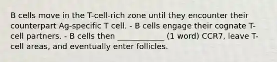 B cells move in the T-cell-rich zone until they encounter their counterpart Ag-specific T cell. - B cells engage their cognate T-cell partners. - B cells then ____________ (1 word) CCR7, leave T-cell areas, and eventually enter follicles.