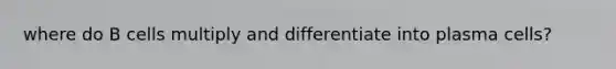 where do B cells multiply and differentiate into plasma cells?