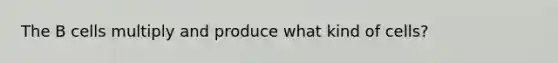 The B cells multiply and produce what kind of cells?