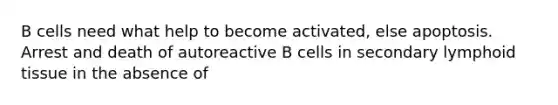 B cells need what help to become activated, else apoptosis. Arrest and death of autoreactive B cells in secondary lymphoid tissue in the absence of