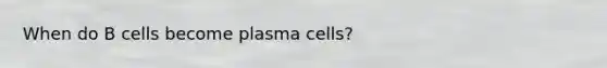 When do B cells become plasma cells?