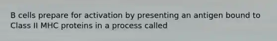 B cells prepare for activation by presenting an antigen bound to Class II MHC proteins in a process called