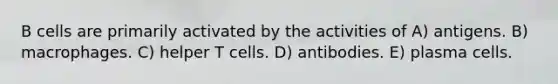 B cells are primarily activated by the activities of A) antigens. B) macrophages. C) helper T cells. D) antibodies. E) plasma cells.