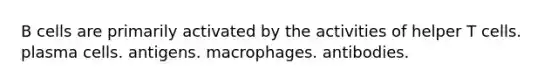 B cells are primarily activated by the activities of helper T cells. plasma cells. antigens. macrophages. antibodies.