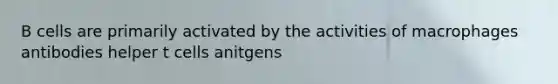 B cells are primarily activated by the activities of macrophages antibodies helper t cells anitgens