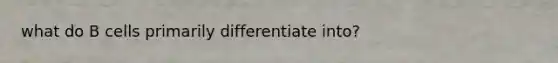 what do B cells primarily differentiate into?