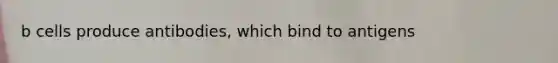 b cells produce antibodies, which bind to antigens