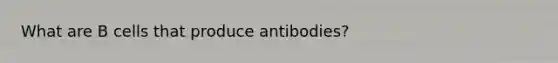 What are B cells that produce antibodies?