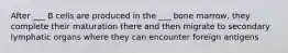 After ___ B cells are produced in the ___ bone marrow, they complete their maturation there and then migrate to secondary lymphatic organs where they can encounter foreign antigens