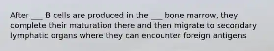 After ___ B cells are produced in the ___ bone marrow, they complete their maturation there and then migrate to secondary lymphatic organs where they can encounter foreign antigens