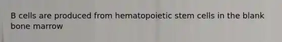 B cells are produced from hematopoietic stem cells in the blank bone marrow