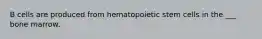 B cells are produced from hematopoietic stem cells in the ___ bone marrow.