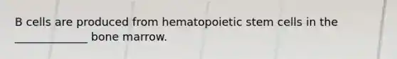 B cells are produced from hematopoietic stem cells in the _____________ bone marrow.
