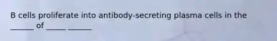 B cells proliferate into antibody-secreting plasma cells in the ______ of _____ ______