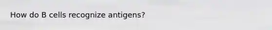 How do B cells recognize antigens?