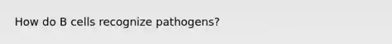 How do B cells recognize pathogens?