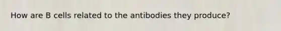 How are B cells related to the antibodies they produce?