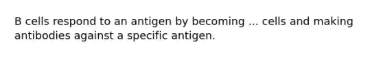 B cells respond to an antigen by becoming ... cells and making antibodies against a specific antigen.