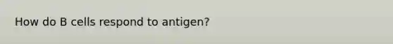 How do B cells respond to antigen?