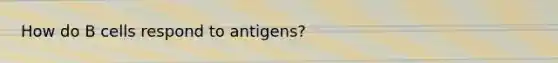 How do B cells respond to antigens?