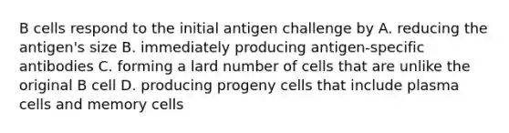 B cells respond to the initial antigen challenge by A. reducing the antigen's size B. immediately producing antigen-specific antibodies C. forming a lard number of cells that are unlike the original B cell D. producing progeny cells that include plasma cells and memory cells