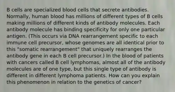 B cells are specialized blood cells that secrete antibodies. Normally, human blood has millions of different types of B cells making millions of different kinds of antibody molecules. Each antibody molecule has binding specificity for only one particular antigen. (This occurs via DNA rearrangement specific to each immune cell precursor, whose genomes are all identical prior to this "somatic rearrangement" that uniquely rearranges the antibody gene in each B cell precursor.) In the blood of patients with cancers called B cell lymphomas, almost all of the antibody molecules are of one type, but this single type of antibody is different in different lymphoma patients. How can you explain this phenomenon in relation to the genetics of cancer?