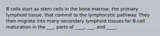 B cells start as stem cells in the bone marrow, the primary lymphoid tissue, that commit to the lymphocytic pathway. They then migrate into many secondary lymphoid tissues for B-cell maturation in the ___, parts of ____, ___, and ____.