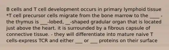 B cells and T cell development occurs in primary lymphoid tissue *T cell precursor cells migrate from the bone marrow to the ____ -the thymus is ___-lobed, __-shaped gradular organ that is located just above the heart. it is surrounded by a fibrous capsule of connective tissue. - they will differentiate into mature naive T cells-express TCR and either ___ or ___ proteins on their surface