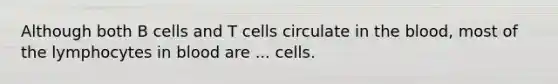 Although both B cells and T cells circulate in <a href='https://www.questionai.com/knowledge/k7oXMfj7lk-the-blood' class='anchor-knowledge'>the blood</a>, most of the lymphocytes in blood are ... cells.