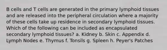 B cells and T cells are generated in the primary lymphoid tissues and are released into the peripheral circulation where a majority of these cells take up residence in secondary lymphoid tissues. Which of the following can be included as encapsulated secondary lymphoid tissues? a. Kidney b. Skin c. Appendix d. Lymph Nodes e. Thymus f. Tonsils g. Spleen h. Peyer's Patches