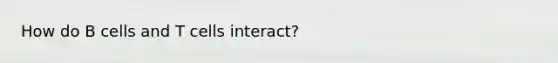 How do B cells and T cells interact?
