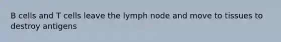 B cells and T cells leave the lymph node and move to tissues to destroy antigens