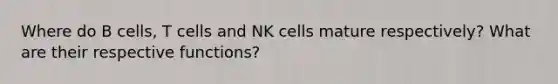 Where do B cells, T cells and NK cells mature respectively? What are their respective functions?