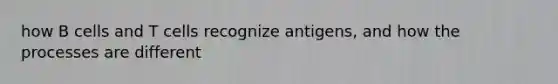 how B cells and T cells recognize antigens, and how the processes are different