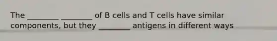 The ________ ________ of B cells and T cells have similar components, but they ________ antigens in different ways