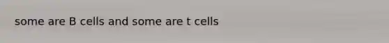 some are B cells and some are t cells