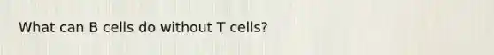 What can B cells do without T cells?