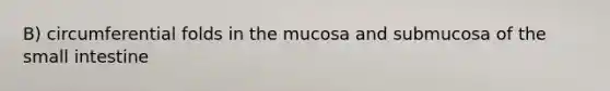 B) circumferential folds in the mucosa and submucosa of the small intestine